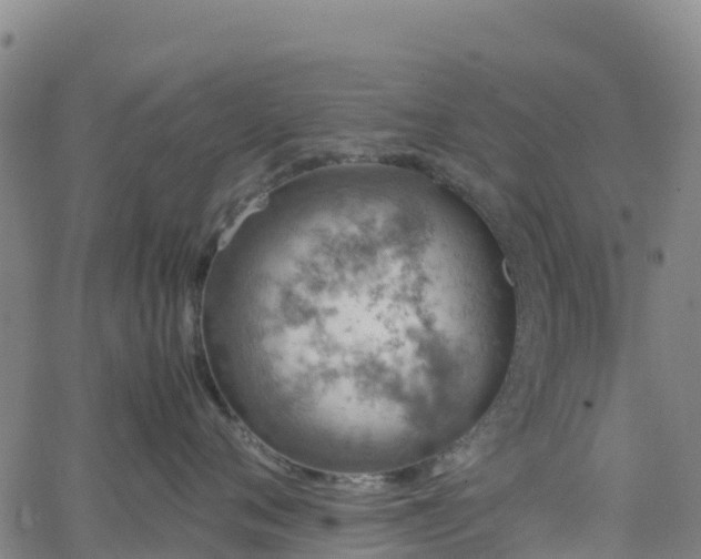 X0000062670720200512230947