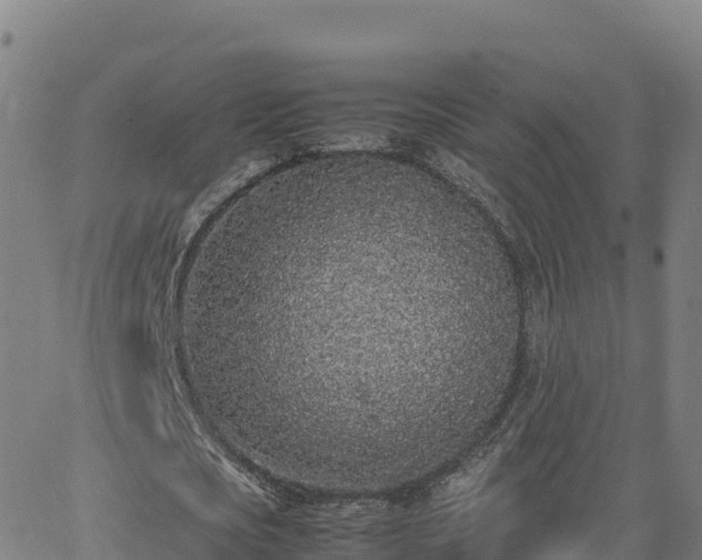 X0000062670721200512230946