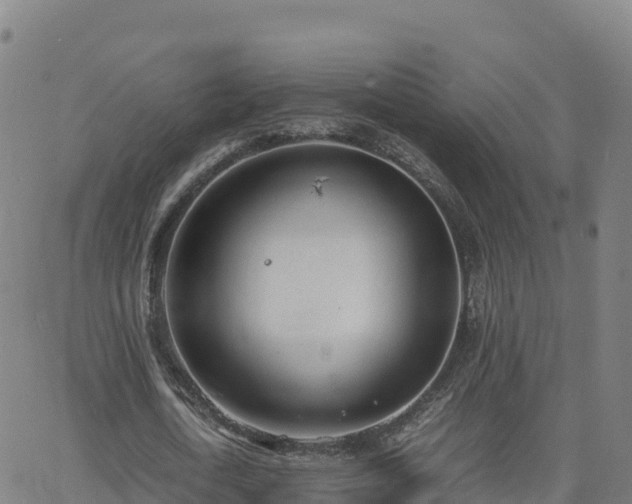 X0000062670722200512230946