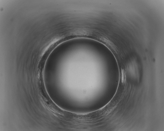 X0000062670723200512230946