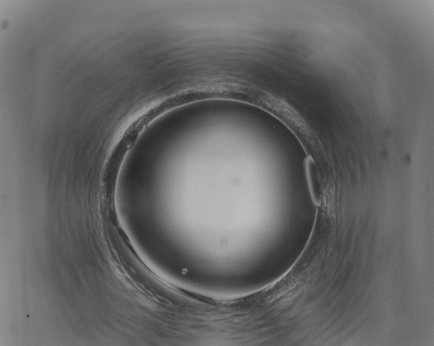 X0000062670724200512230946