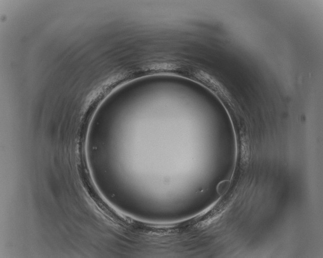 X0000062670725200512230946