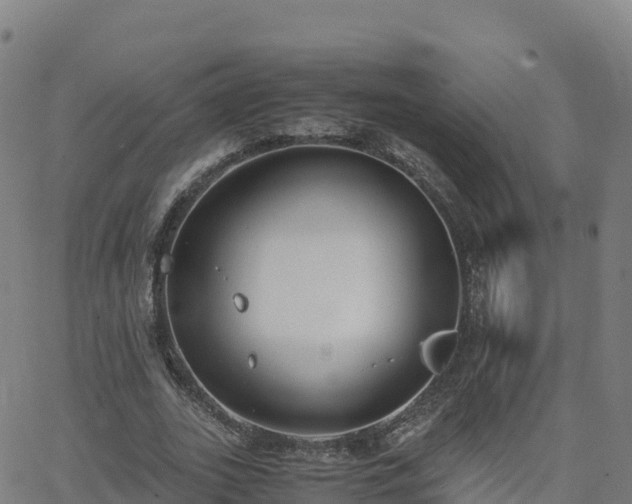 X0000062670727200512230946