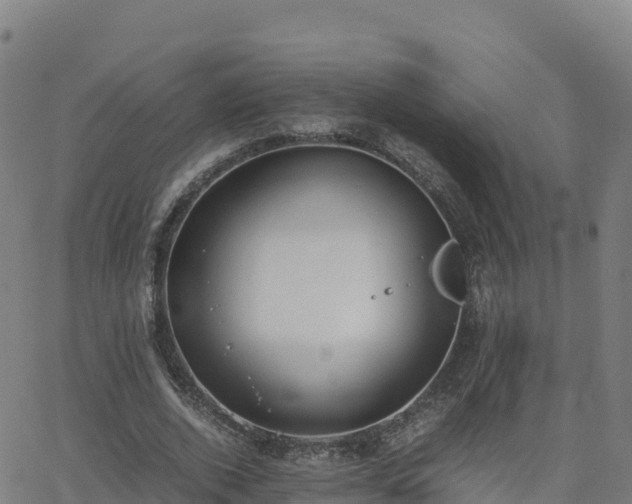 X0000062670728200512230946