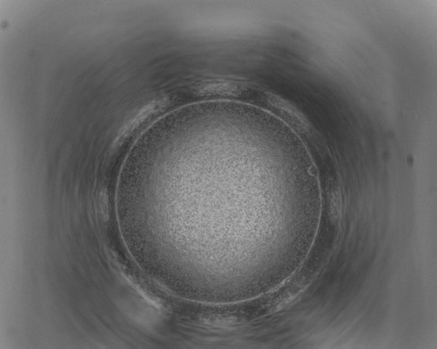 X0000062670729200512230946