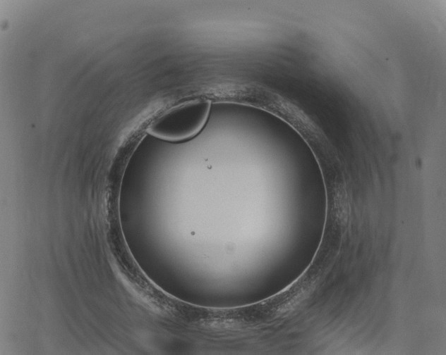 X0000062670730200512230946