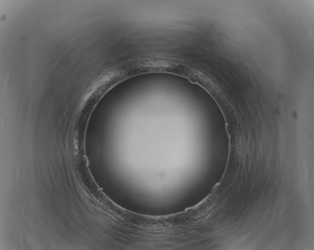 X0000062670731200512230946