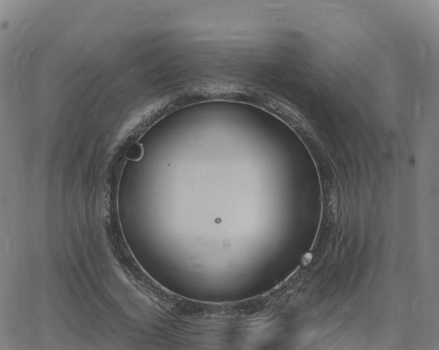 X0000062670732200512230946