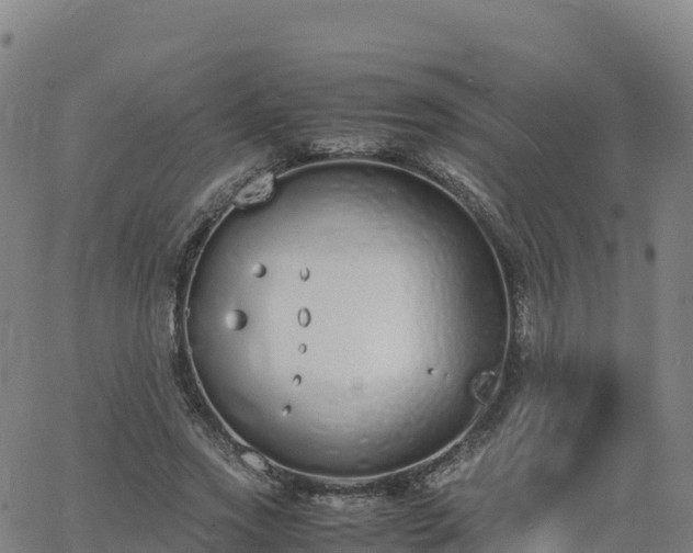 X0000062670733200512230946