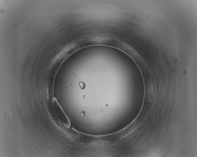 X0000062670734200512230946