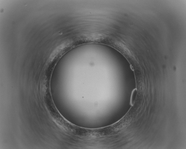 X0000062670736200512230946