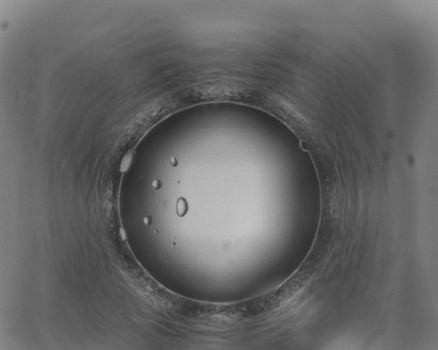 X0000062670737200512230946