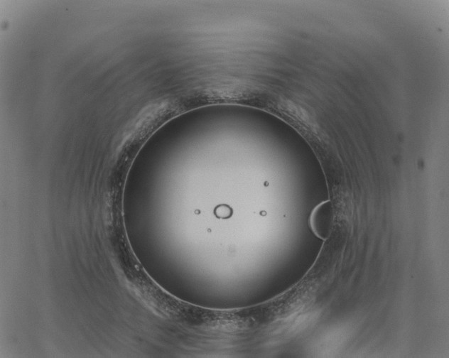 X0000062670738200512230946