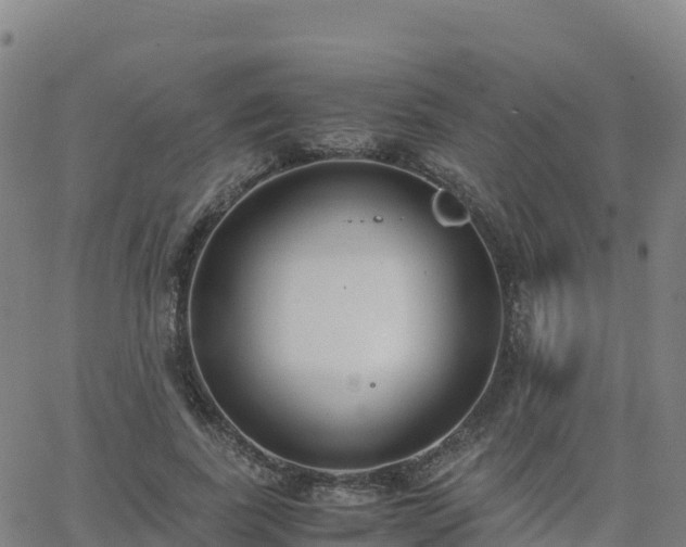 X0000062670739200512230946