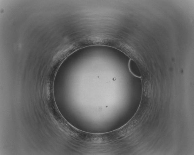 X0000062670740200512230946