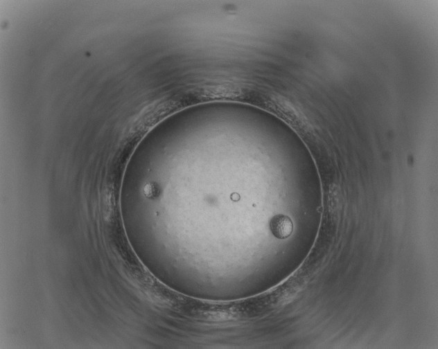 X0000062670741200512230946