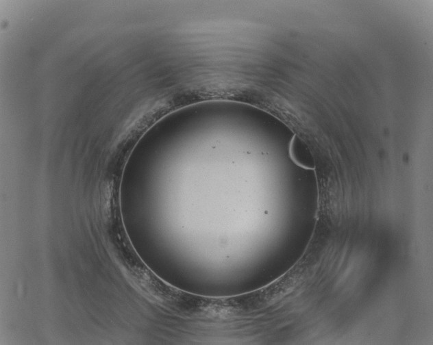 X0000062670742200512230946