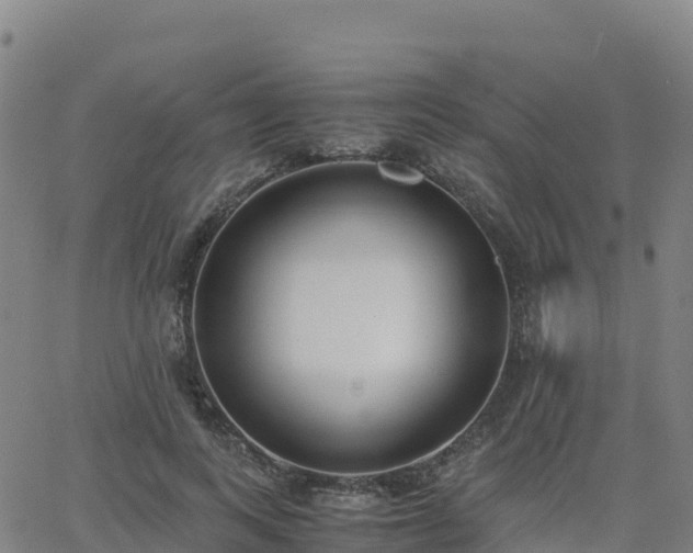 X0000062670743200512230946