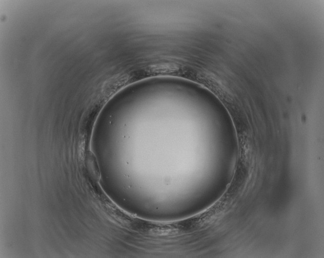 X0000062670745200512230946