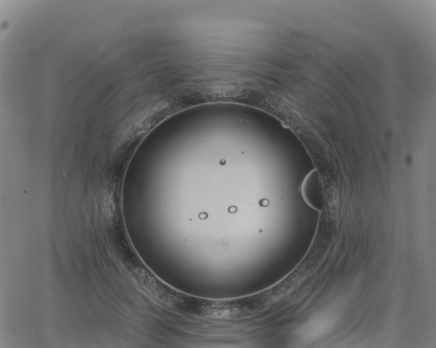 X0000062670746200512230946