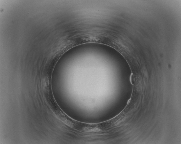 X0000062670747200512230946