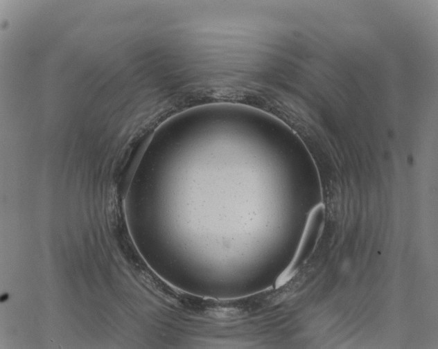 X0000062670748200512230946