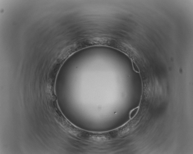 X0000062670749200512230946