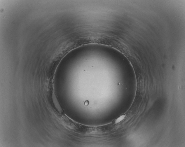 X0000062670750200512230946