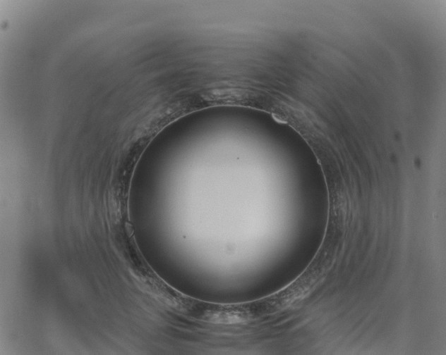 X0000062670751200512230946