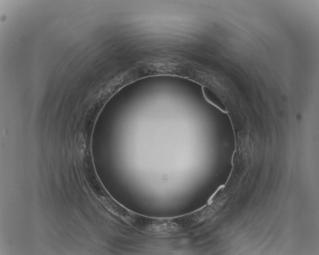 X0000062670752200512230946