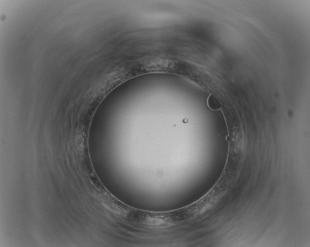 X0000062670753200512230946