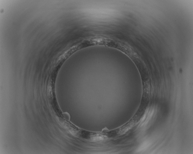 X0000062670754200512230946