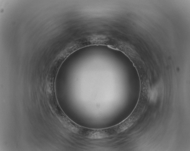 X0000062670755200512230946