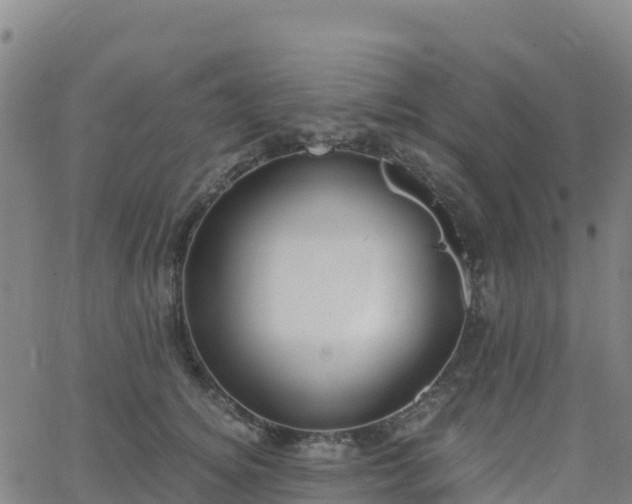 X0000062670756200512230946