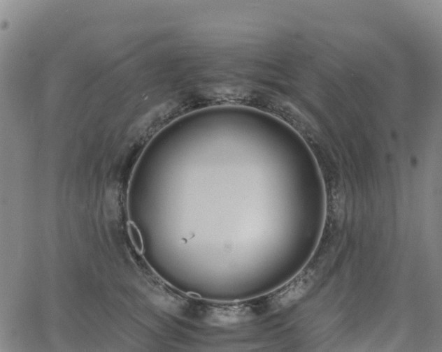 X0000062670757200512230946