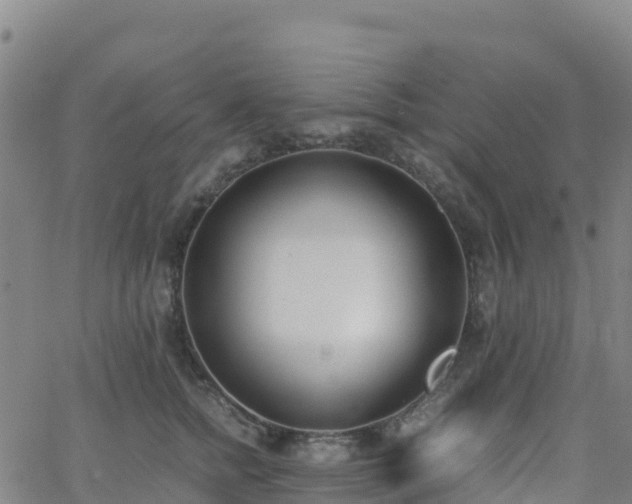 X0000062670758200512230946