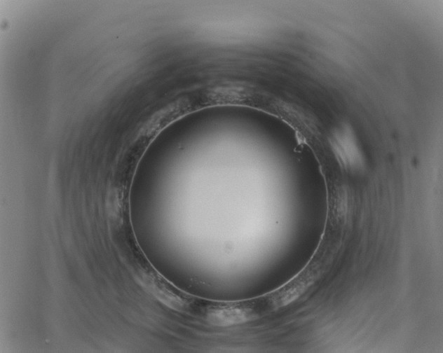 X0000062670759200512230946