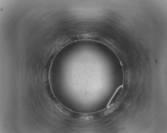 X0000062670760200512230946