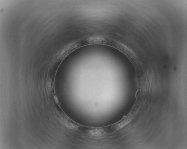 X0000062670761200512230946