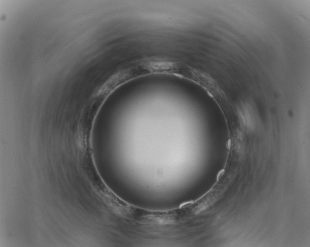 X0000062670763200512230946