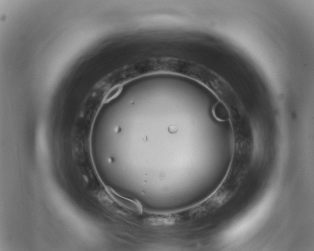 X0000062670765200512230946