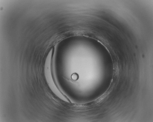 X0000062670766200512230946