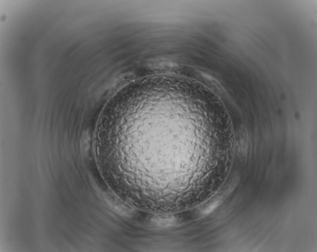 X0000062670767200512230946