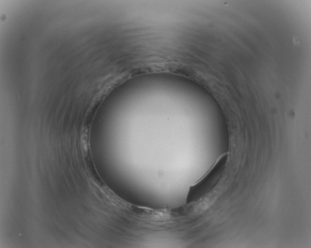 X0000062670768200512230947