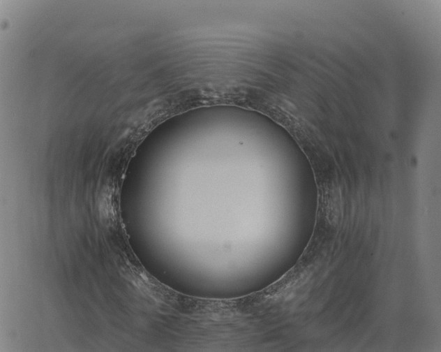 X0000062670770200512230946