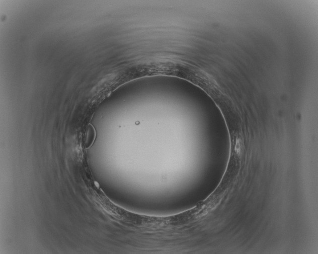 X0000062670771200512230946