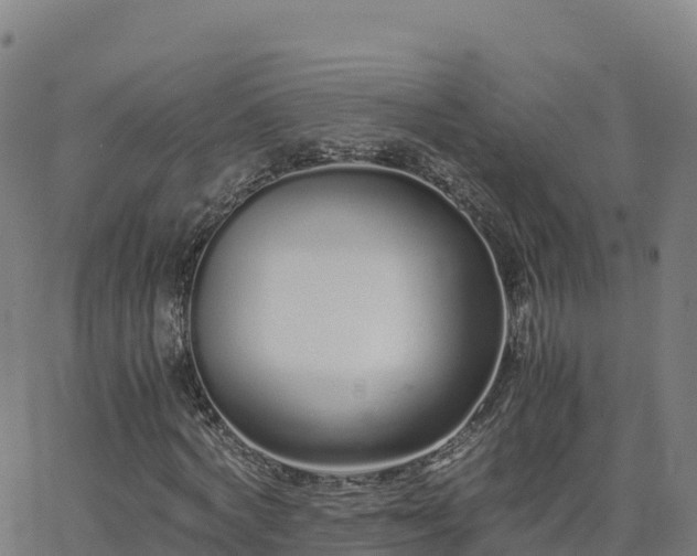 X0000062670772200512230946