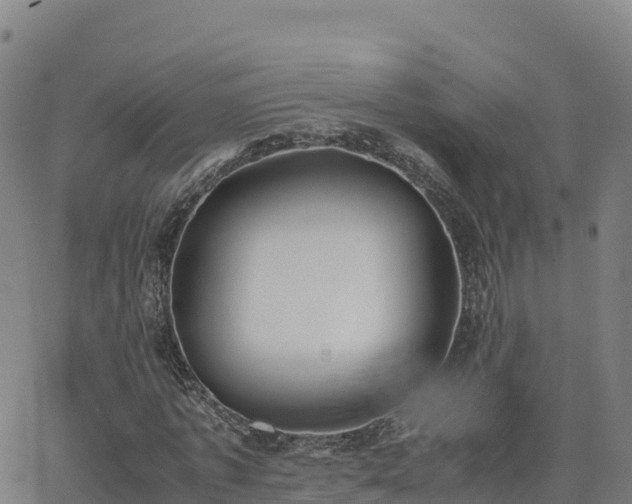 X0000062670773200512230946