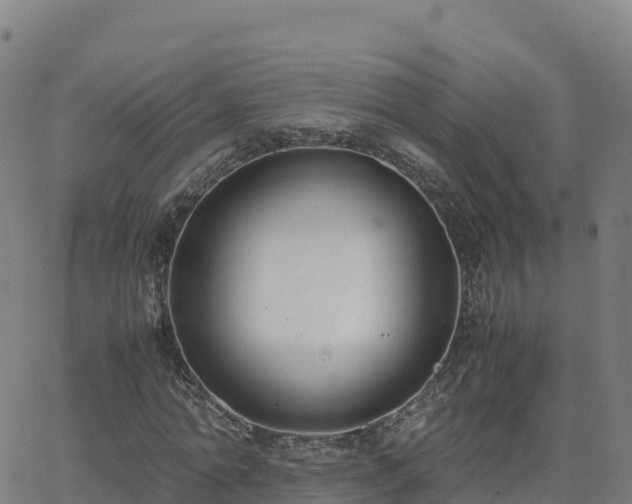 X0000062670774200512230946