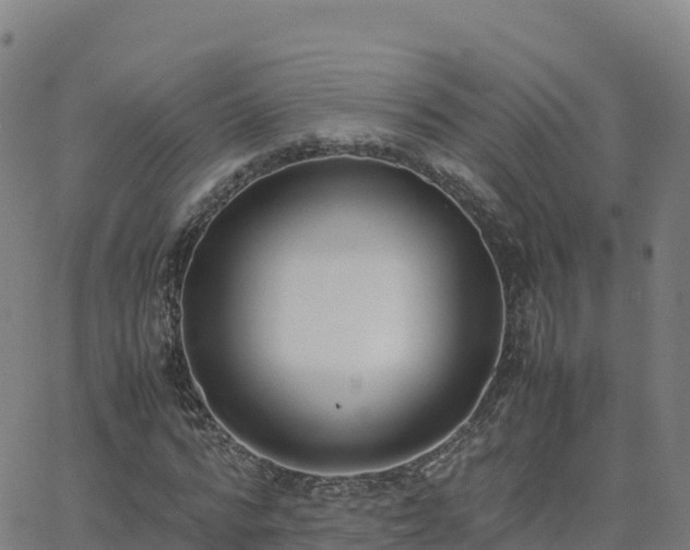 X0000062670776200512230946